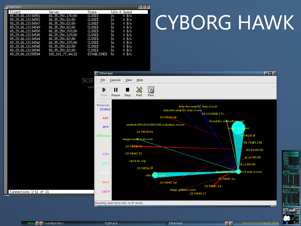 Cyborg Hawk